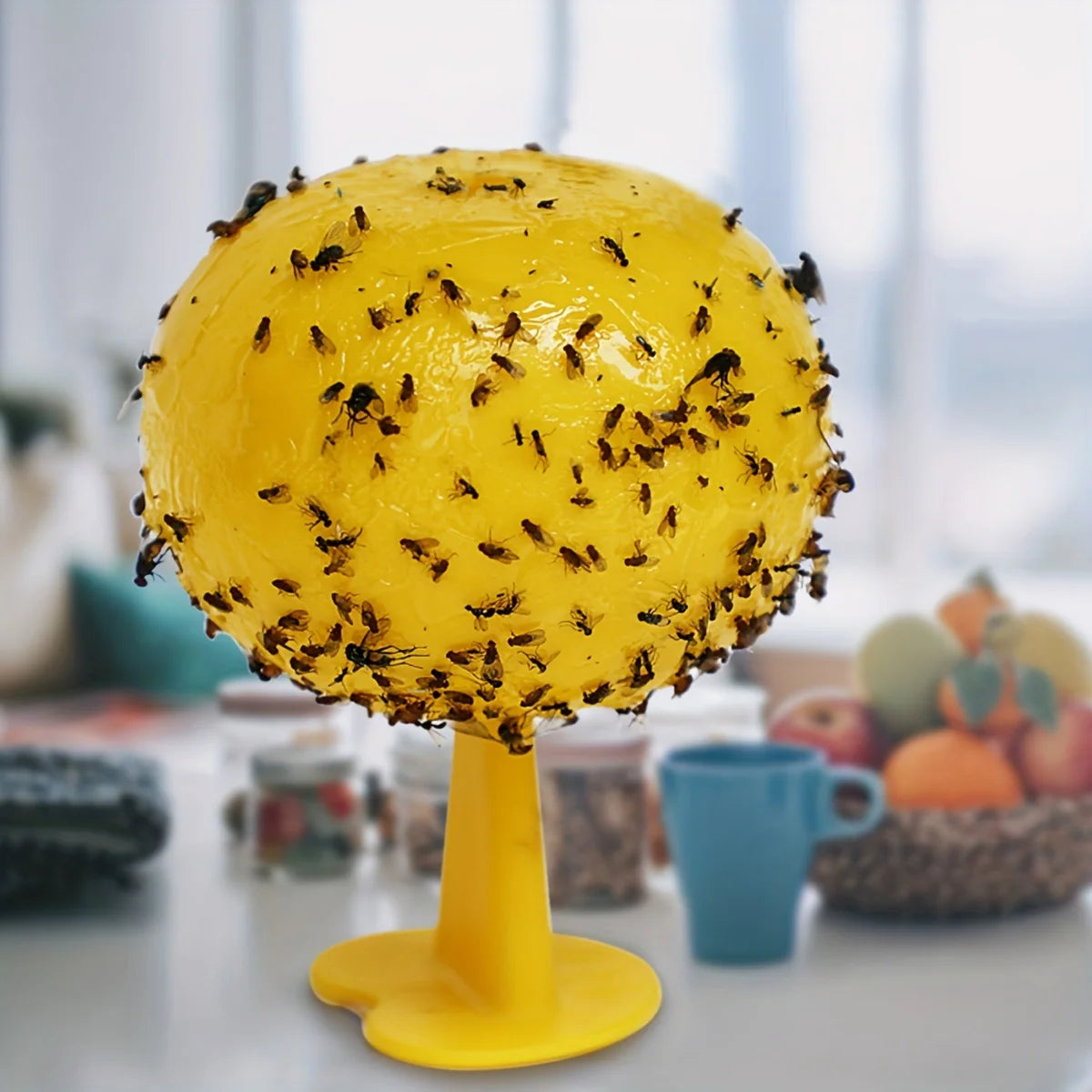BuzzTrap™ - Pièges à mouches et moucherons